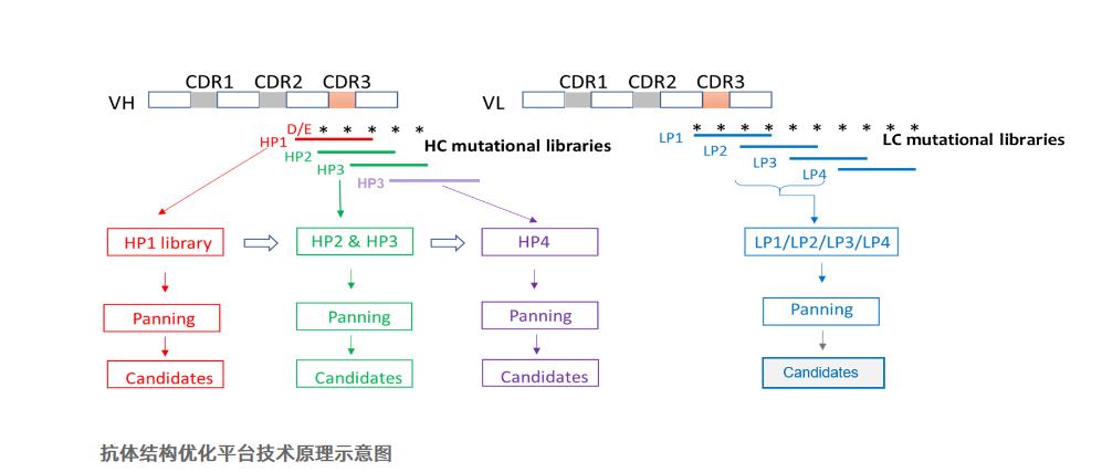 JechoOptima优化平台